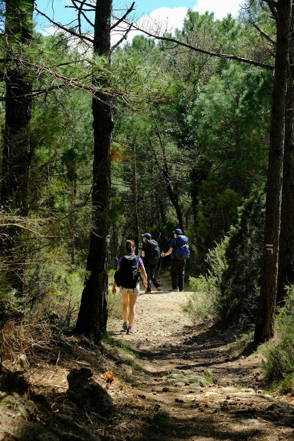 Integration phase training